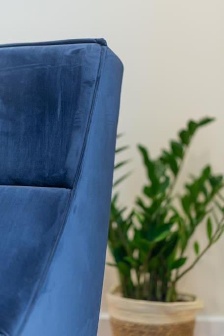קלוז'-נאפוקה Fabrica Apartments 11 מראה חיצוני תמונה