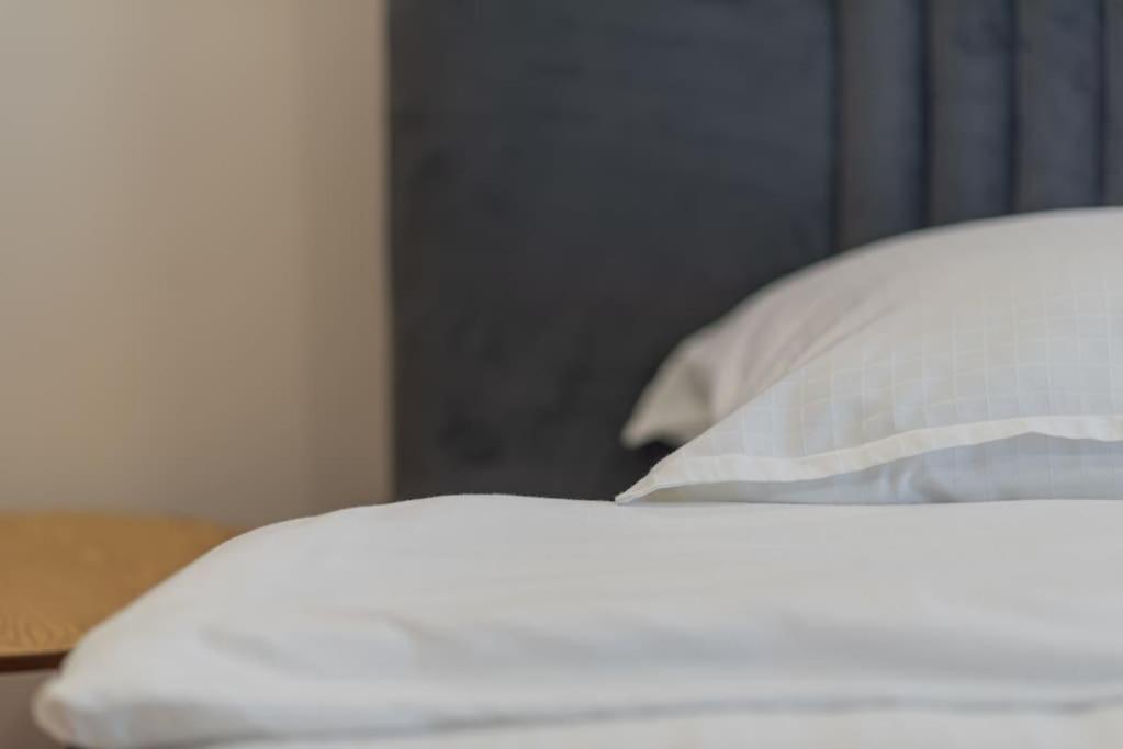 קלוז'-נאפוקה Fabrica Apartments 11 מראה חיצוני תמונה