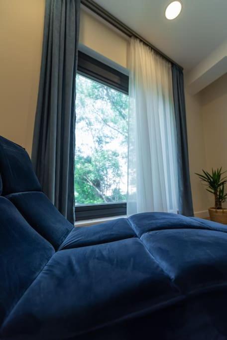 קלוז'-נאפוקה Fabrica Apartments 11 מראה חיצוני תמונה