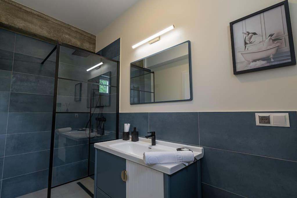 קלוז'-נאפוקה Fabrica Apartments 11 מראה חיצוני תמונה